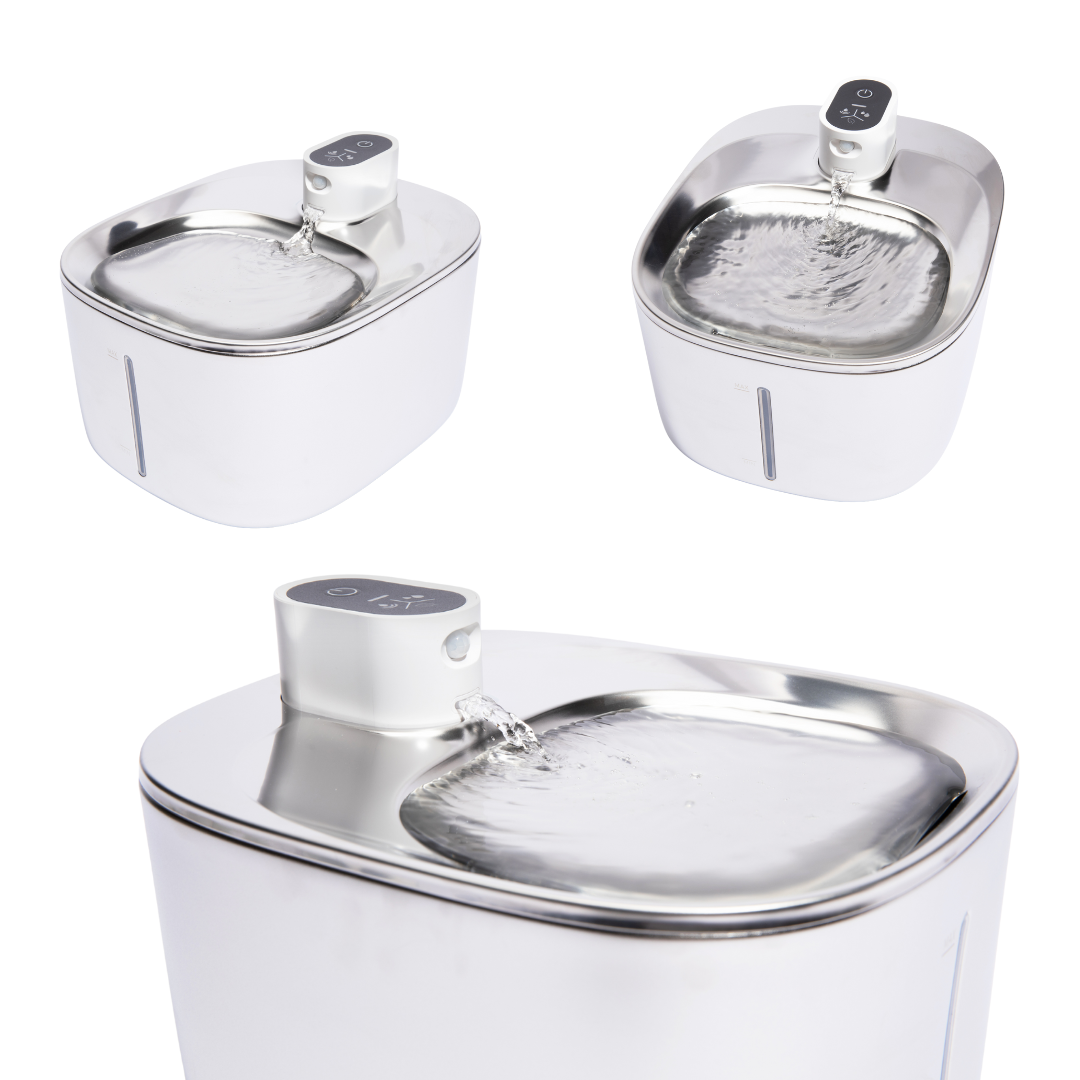 FuenteClara – La fuente silenciosa que anima a tu gato a beber más